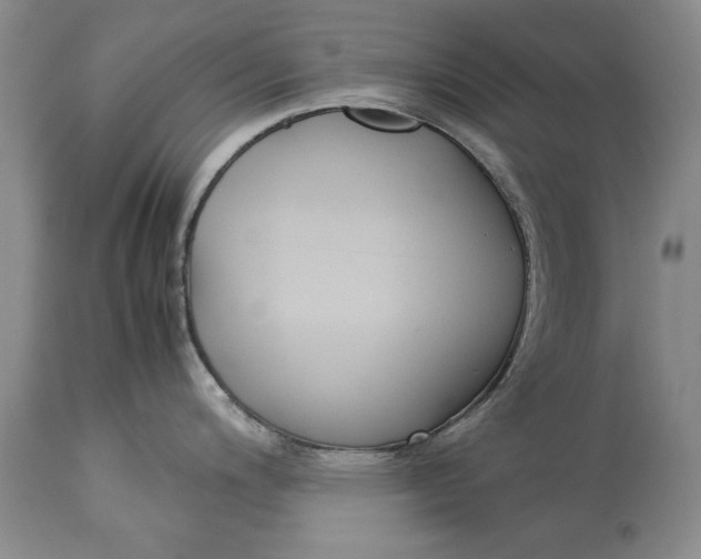 X0000113141200200909251256