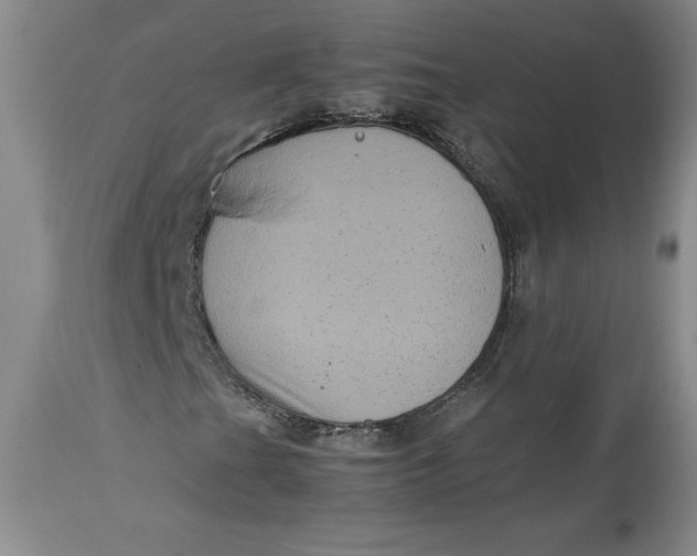 X0000113141201200909251255