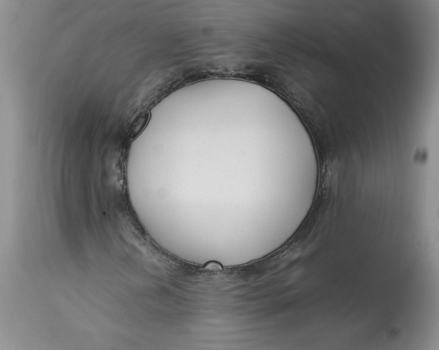 X0000113141202200909251255