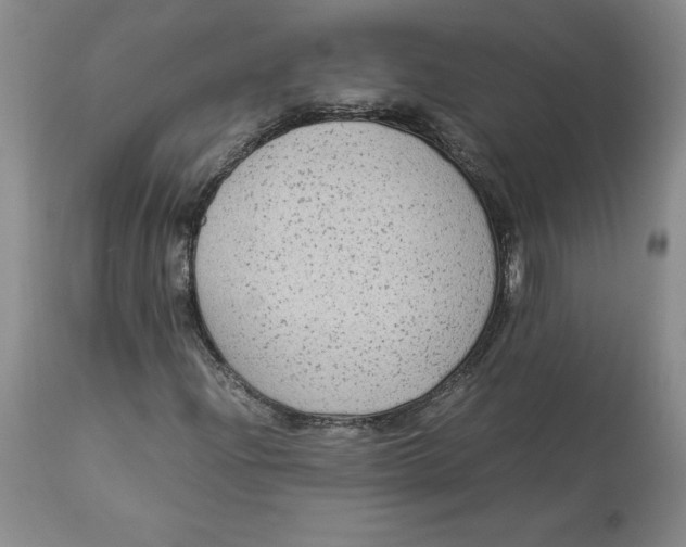 X0000113141204200909251255