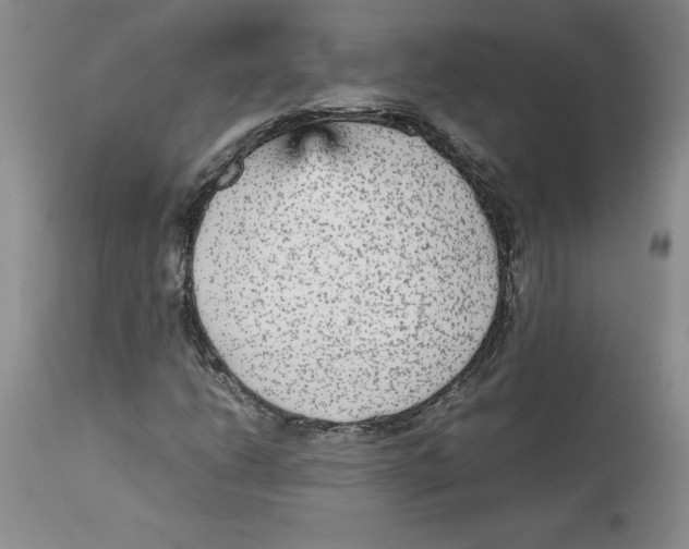 X0000113141206200909251256