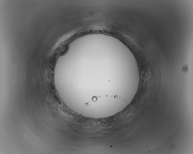 X0000113141207200909251256