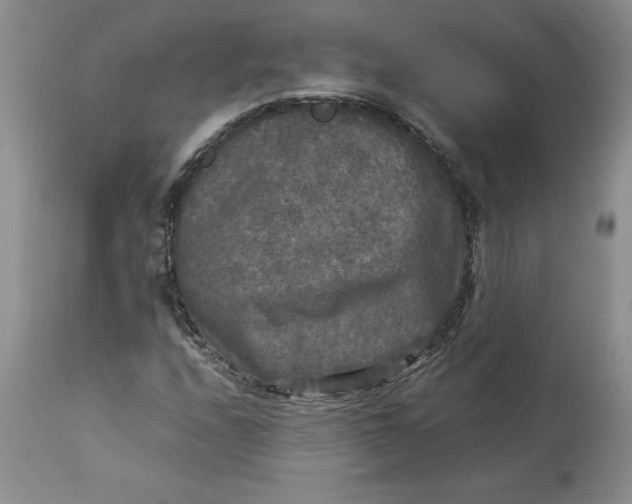 X0000113141208200909251256