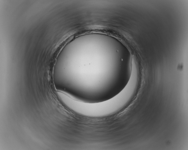 X0000113141209200909251256