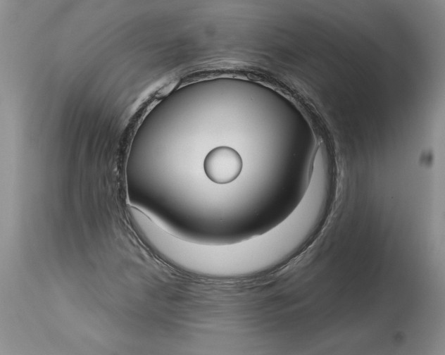 X0000113141210200909251256