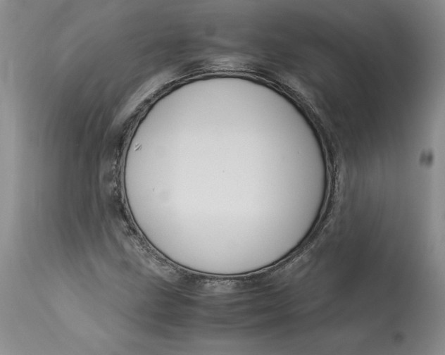 X0000113141211200909251256