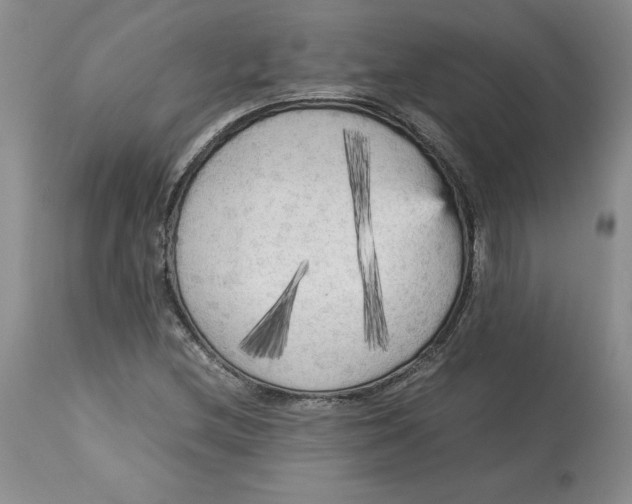 X0000113141212200909251256