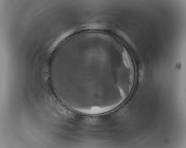 X0000113141213200909251256