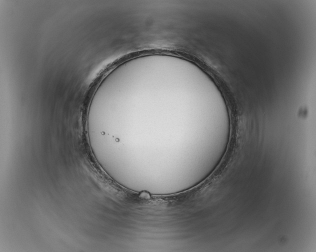 X0000113141214200909251256