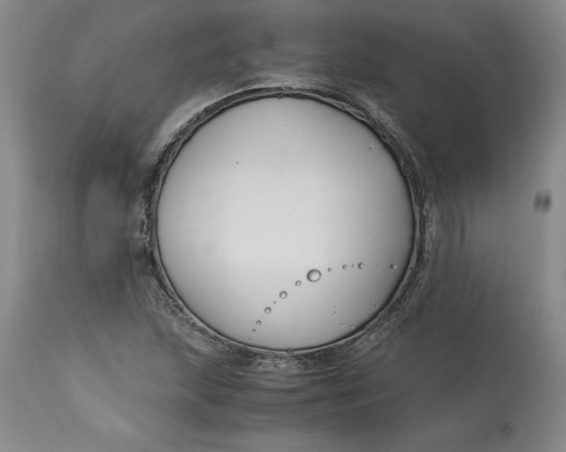 X0000113141215200909251256