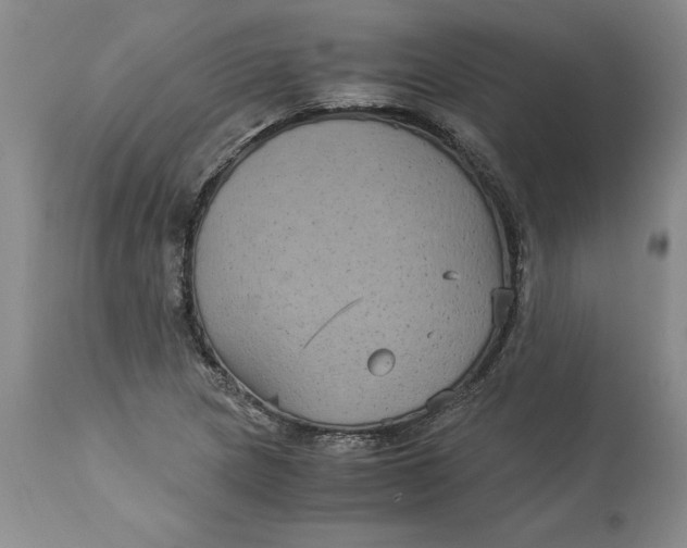 X0000113141217200909251256