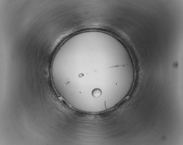 X0000113141218200909251256