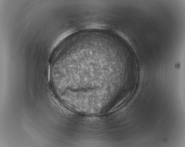 X0000113141219200909251256