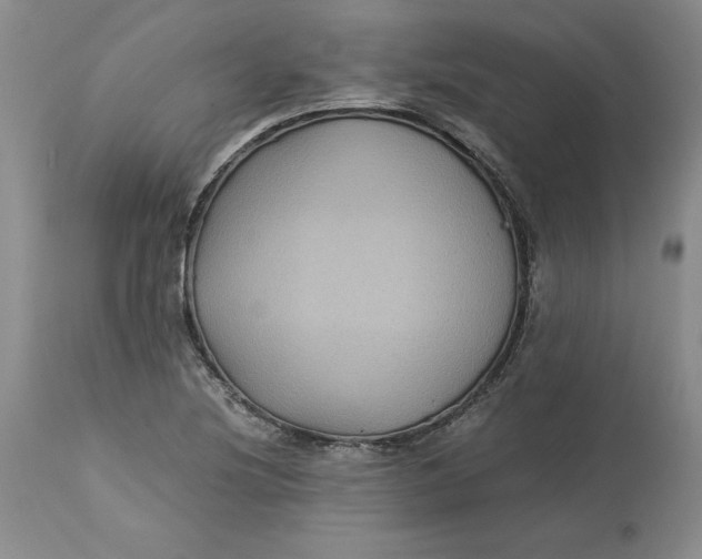 X0000113141220200909251256