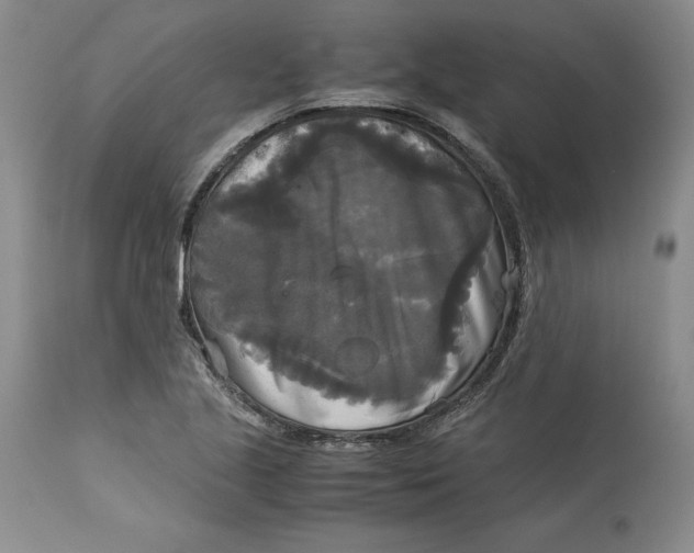 X0000113141221200909251256