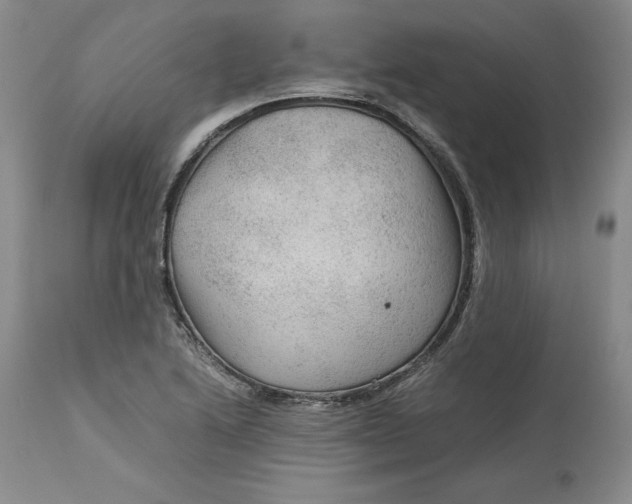 X0000113141222200909251256