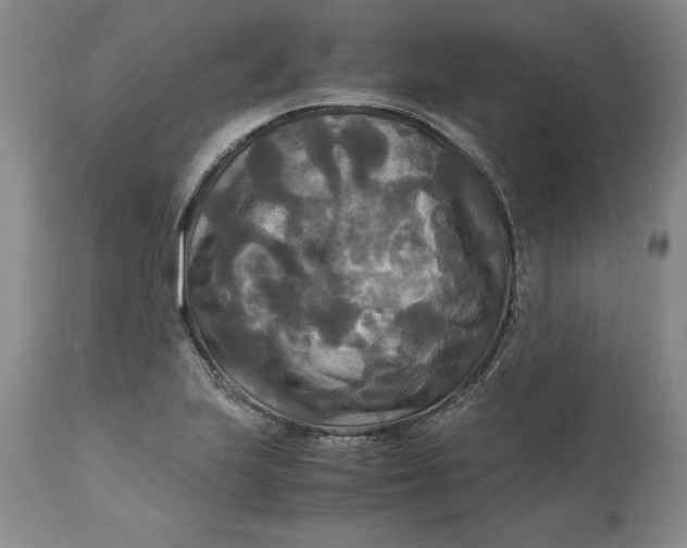 X0000113141223200909251256