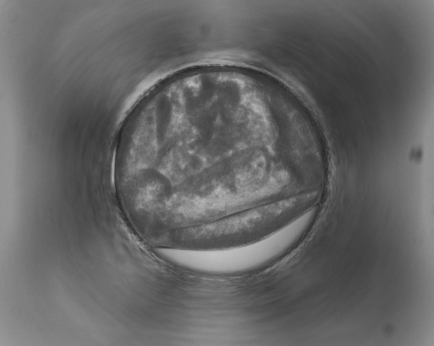 X0000113141224200909251256