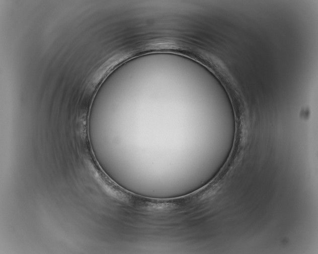 X0000113141225200909251256