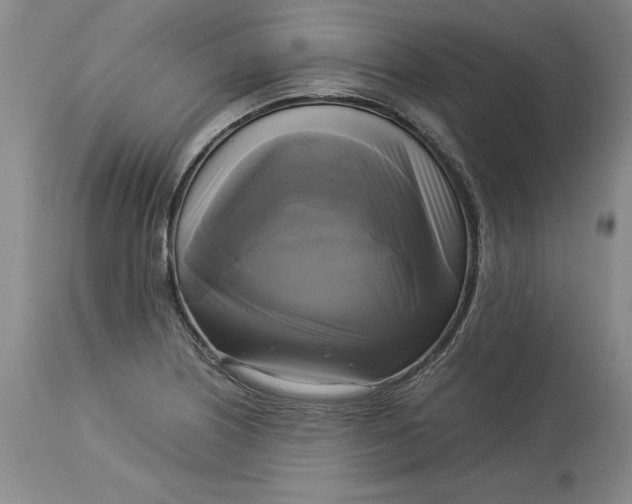 X0000113141226200909251256