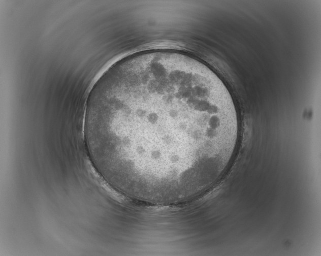 X0000113141228200909251256