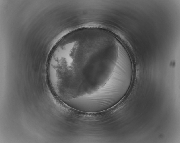 X0000113141229200909251256