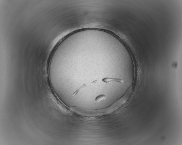 X0000113141230200909251256