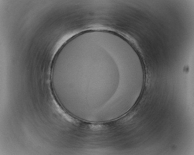 X0000113141231200909251256