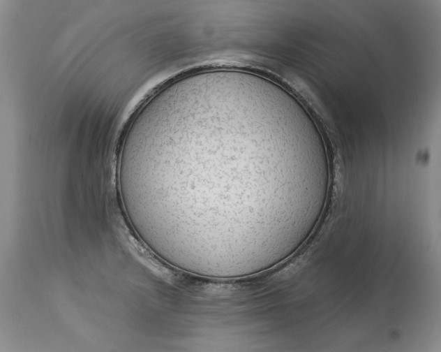 X0000113141232200909251256