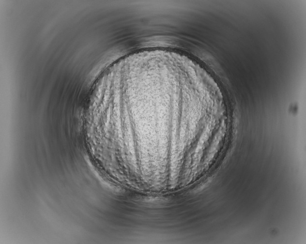 X0000113141233200909251256