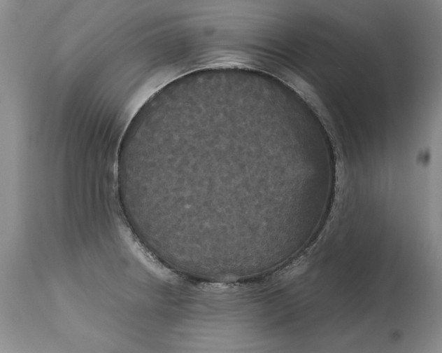 X0000113141234200909251256