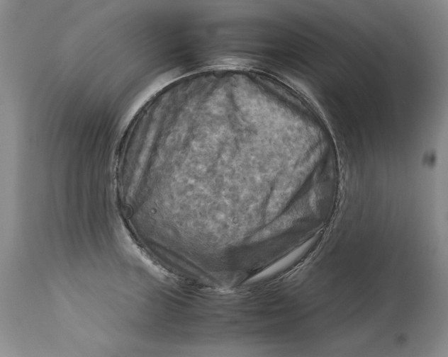 X0000113141235200909251256