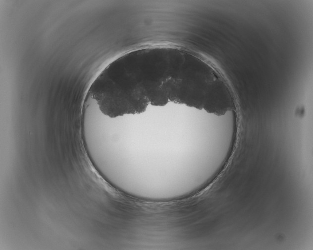 X0000113141236200909251256