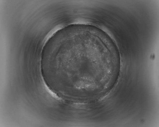 X0000113141237200909251256