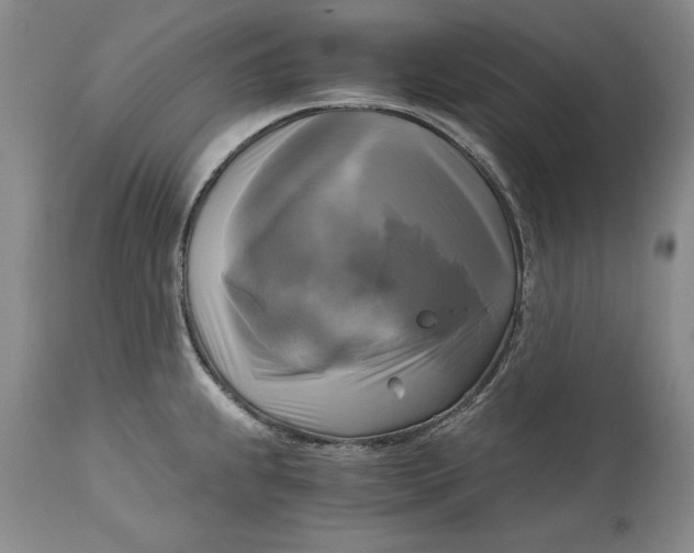 X0000113141239200909251256