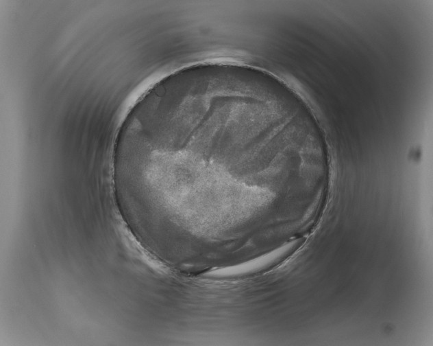 X0000113141240200909251256