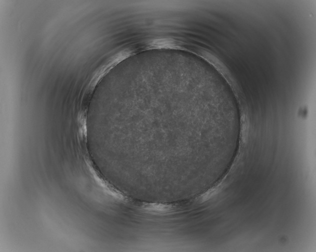 X0000113141241200909251256