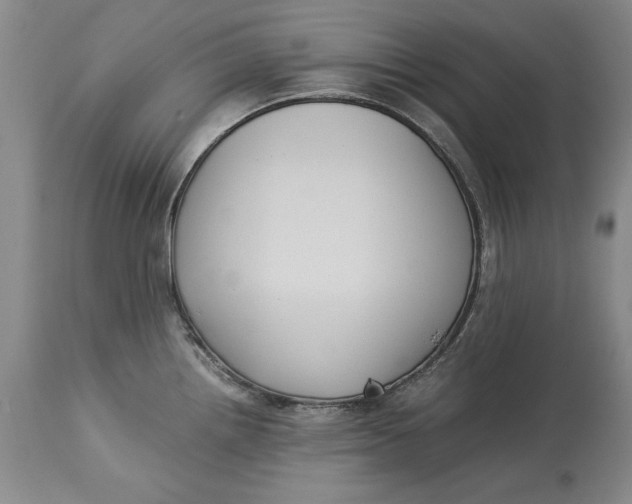 X0000113141242200909251256