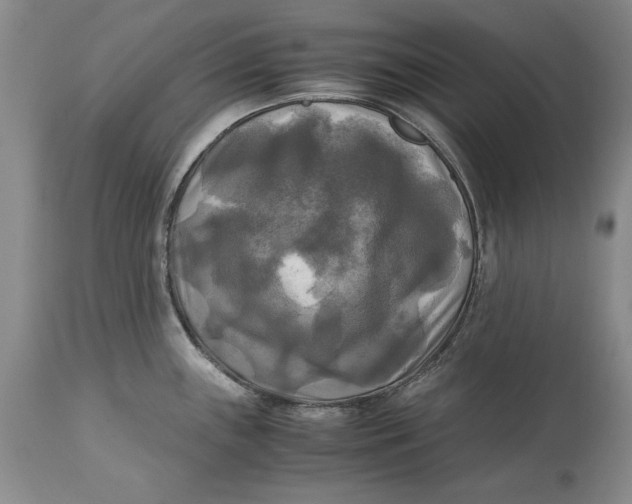 X0000113141243200909251256