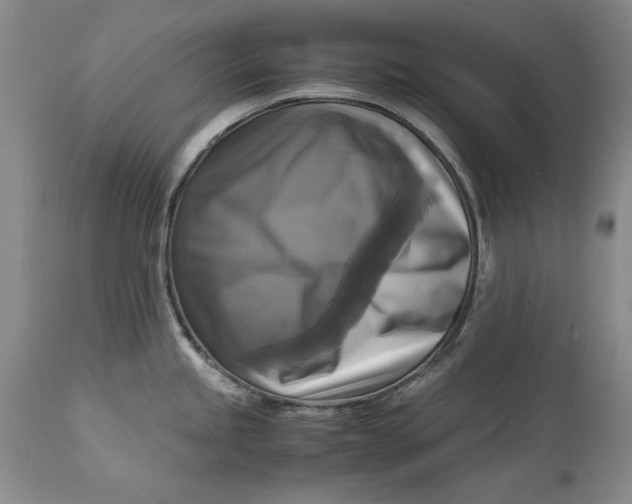 X0000113141245200909251256