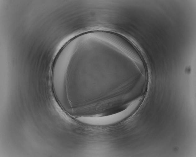 X0000113141246200909251256