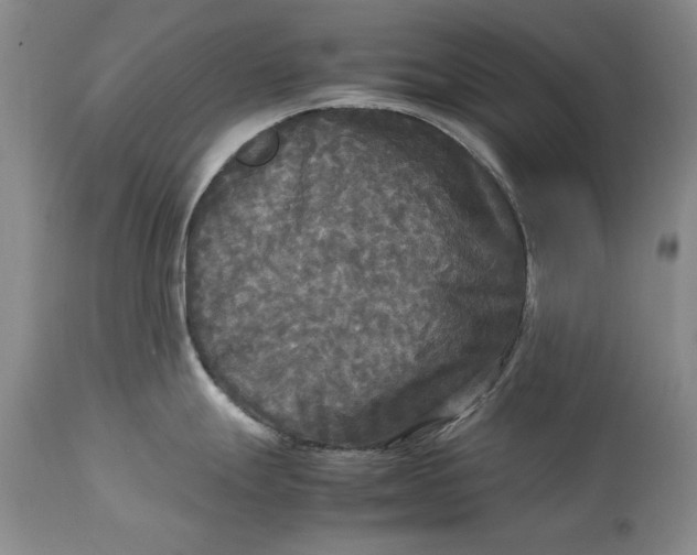 X0000113141247200909251256