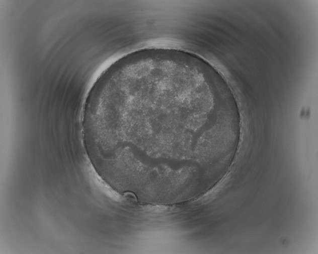 X0000113141248200909251256