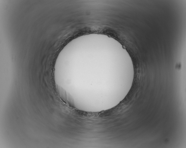 X0000113141249200909251255