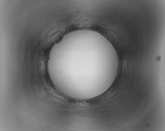 X0000113141250200909251255