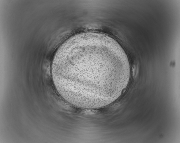 X0000113141251200909251255