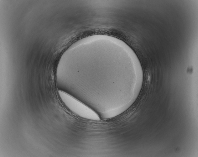 X0000113141252200909251255