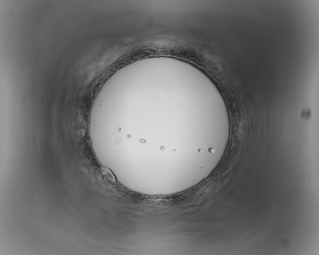 X0000113141253200909251255