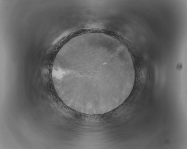 X0000113141254200909251255