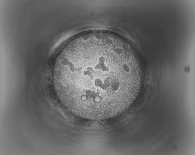 X0000113141255200909251255